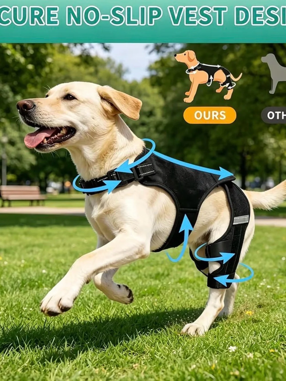 N/A alybit dog
